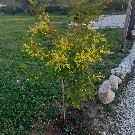 Feudo Mallav Little Wooden House *
